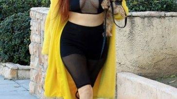 Phoebe Price Takes Her Dog Out For a Morning Walk in Los Angeles - Los Angeles on fanspics.net