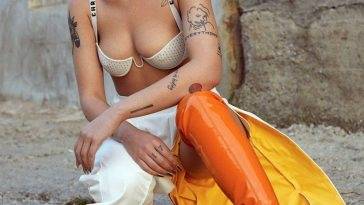 Halsey Nude LEAKED The Fappening & Sexy (206 Photos, Porn Video & Sexy Edits) [Updated] on fanspics.net