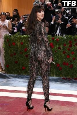 Dakota Johnson Stuns in a See-Through Outfit at The 2022 Met Gala in NYC on fanspics.net