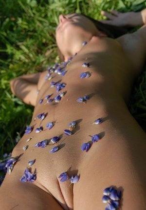 Completely naked teen Nikki D covers herself with petals from wildflowers on fanspics.net