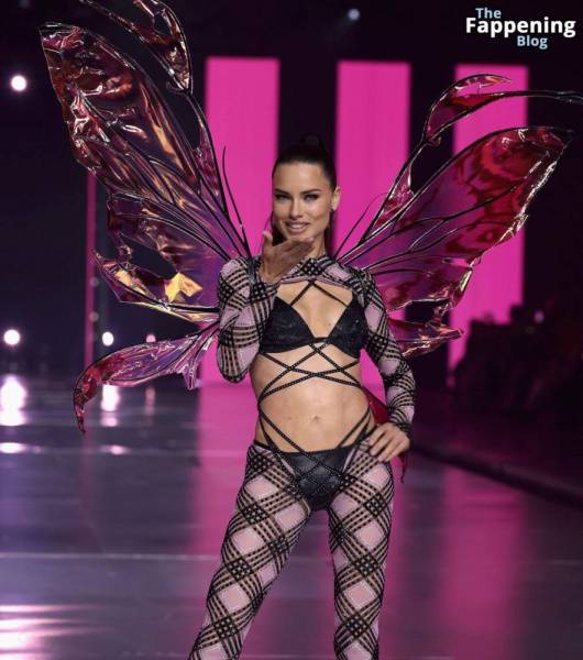 Adriana Lima Stuns at the Victoria’s Secret Fashion Show (80 New Photos) on fanspics.net