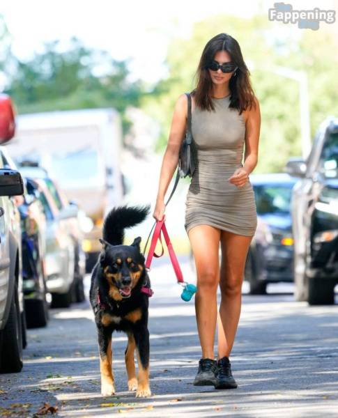 Emily Ratajkowski Looks Hot in a Mini Dress While Walking Her Dog in NYC (32 Photos) on fanspics.net