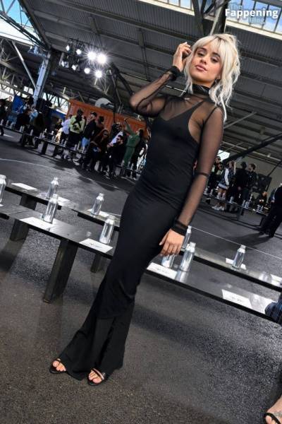 Camila Cabello Shows Off Her Pokies in a Black Dress at the Off-White Fashion Show (82 Photos) on fanspics.net